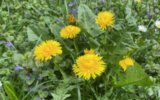astrologicka_predpoved_april_2026